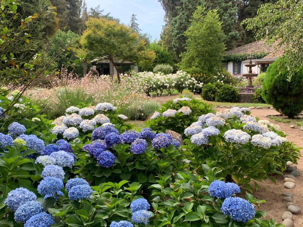 Bed & Breakfast ,Casa De Campo San Esteban,Linares Miraflores Luaran gambar