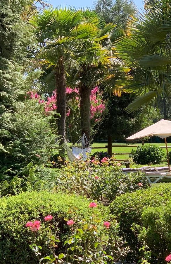 Bed & Breakfast ,Casa De Campo San Esteban,Linares Miraflores Luaran gambar